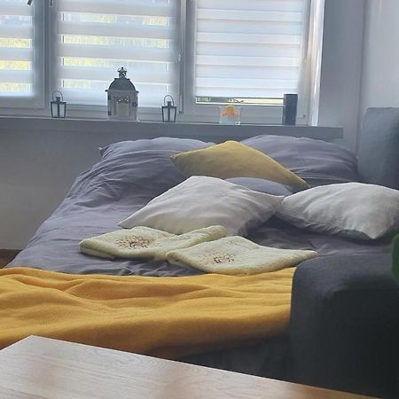 Apartament Park Saski Sandoměř Exteriér fotografie