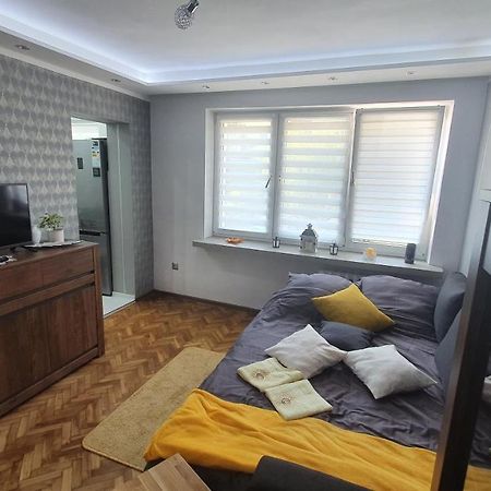 Apartament Park Saski Sandoměř Exteriér fotografie