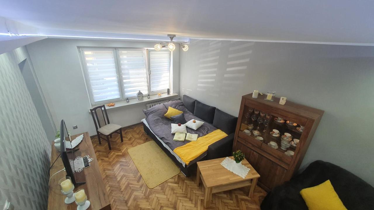 Apartament Park Saski Sandoměř Exteriér fotografie